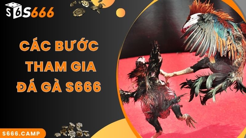S666 Đá Gà - Theo Dõi Đá Gà Trực Tiếp Mãn Nhãn Và Cược Đa Dạng 5 Bước gia nhập xem trực tiếp và cược đá gà tại S666