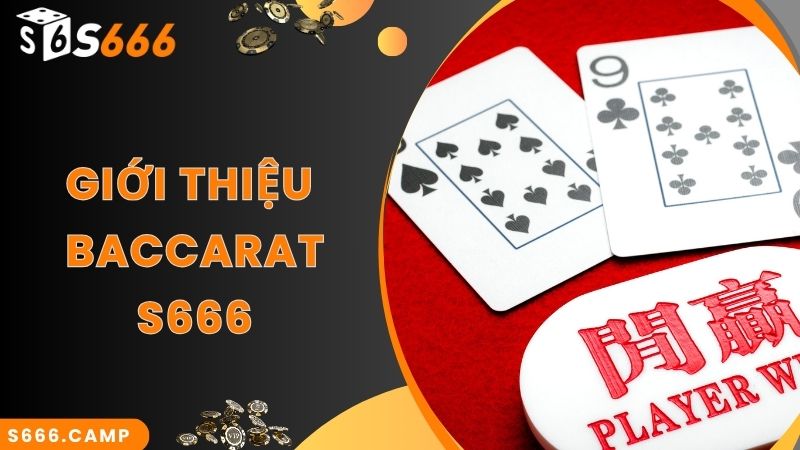 S666 Baccarat - Game Casino Hot Top 1 Tại Nhà Cái S666 2 Giới thiệu về game S666 Baccarat đẳng cấp