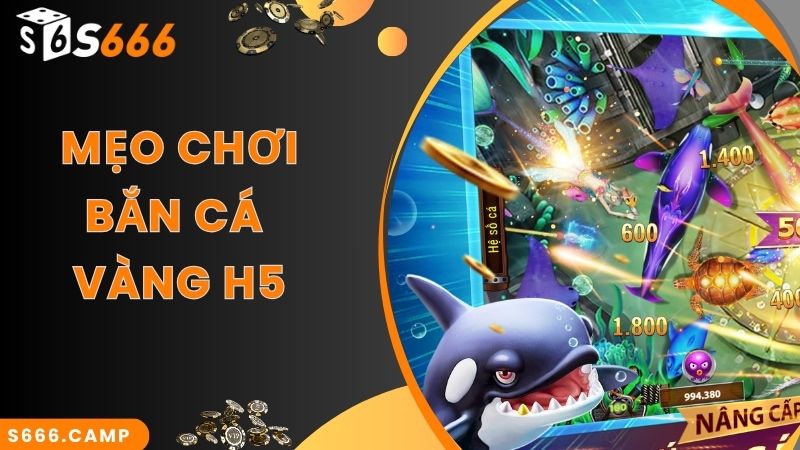Bắn Cá Vàng H5 - Game Săn Cá Online Siêu Hot Tại S666 6 Mẹo chơi hay áp dụng trong game bắn cá vàng H5