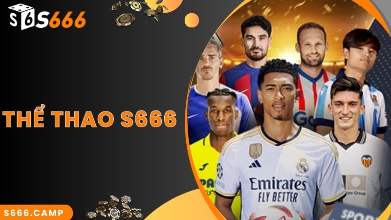 S666 Thể Thao - Sảnh Cược Chuyên Nghiệp Với Bộ Môn Thể Thao Hot 1 S666 Thể Thao - Sảnh Cược Chuyên Nghiệp Với Bộ Môn Thể Thao Hot