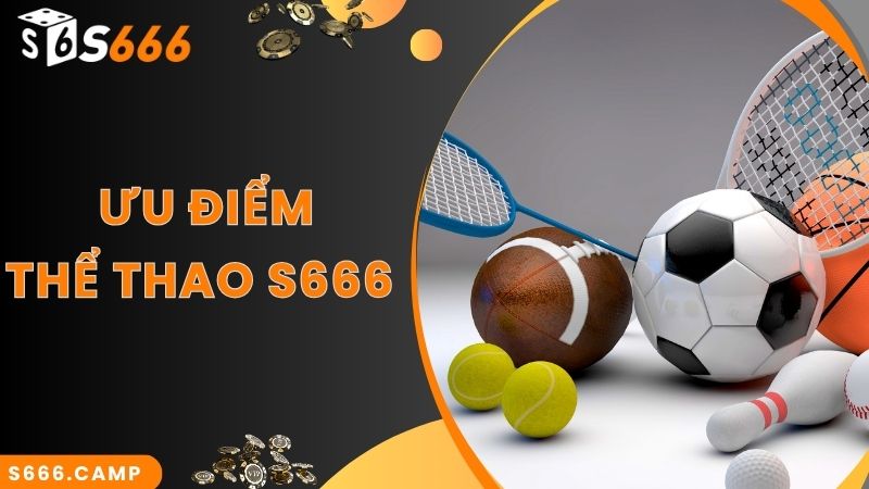 S666 Thể Thao - Sảnh Cược Chuyên Nghiệp Với Bộ Môn Thể Thao Hot 3 Sức hút nhiều người khám phá sảnh S666 thể thao online